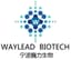 Ningbo Waylead Biotechnology Co., Ltd.