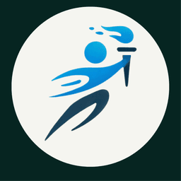 Triton BIT Solutions Ltd
