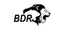 BDR Pharmaceuticals