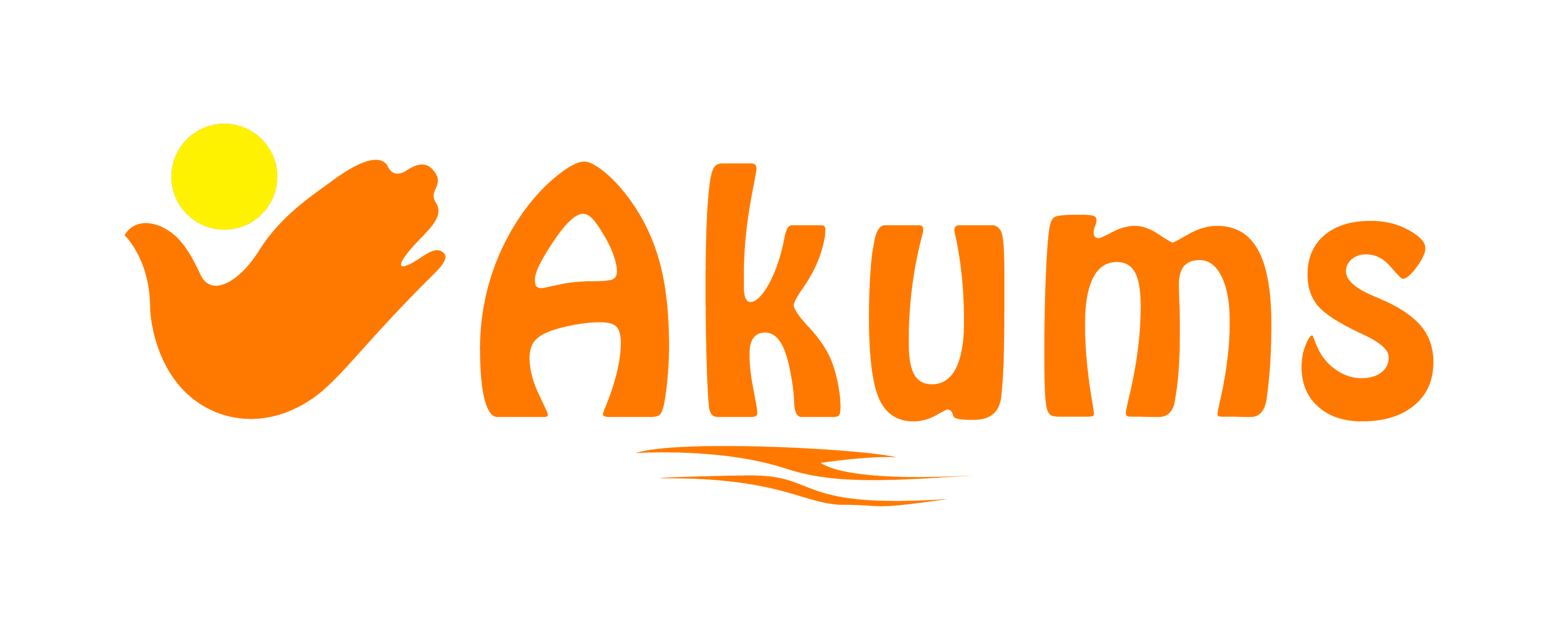 Akum Drugs & Pharmaceuticals Ltd cover