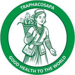 Công ty TNHH Một thành viên Traphacosapa