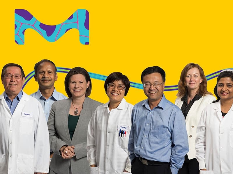 Merck Export GmbH cover