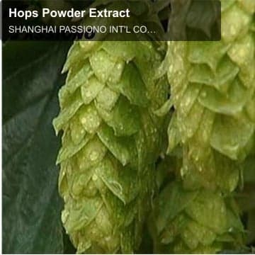 Hops Powder Extract