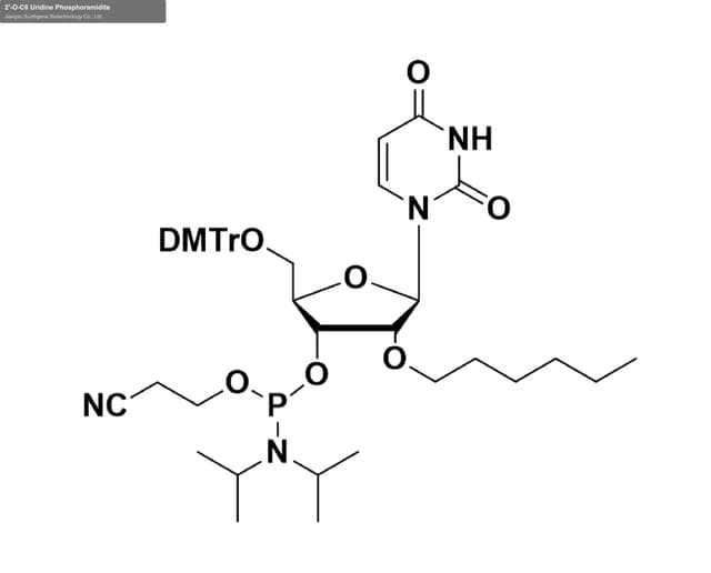 2'-O-C6 Uridine Phosphoramidite