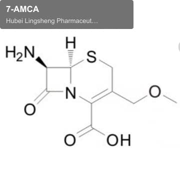 7-AMCA