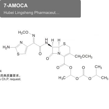 7-AMOCA