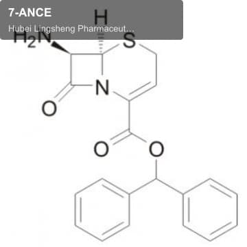 7-ANCE