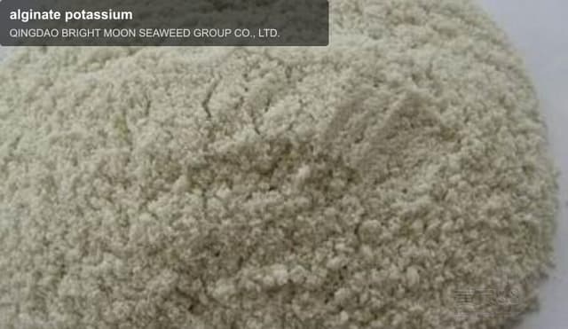 alginate potassium