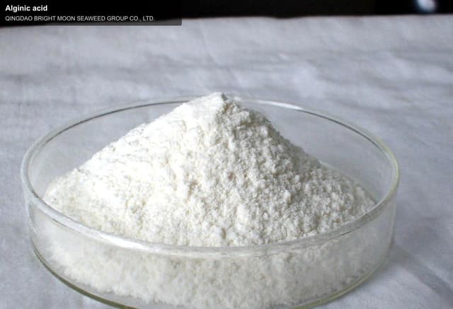 Alginic acid
