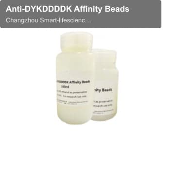 Anti-DYKDDDDK Affinity Beads