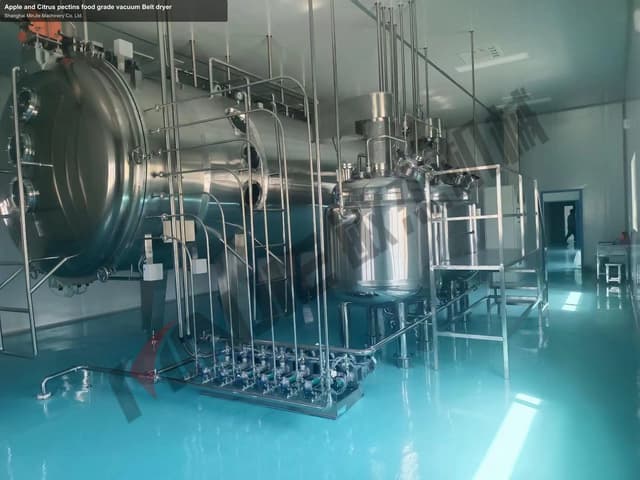 Apple and Citrus pectins food grade vacuum Belt dryer