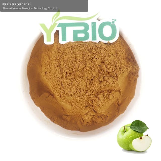apple polyphenol