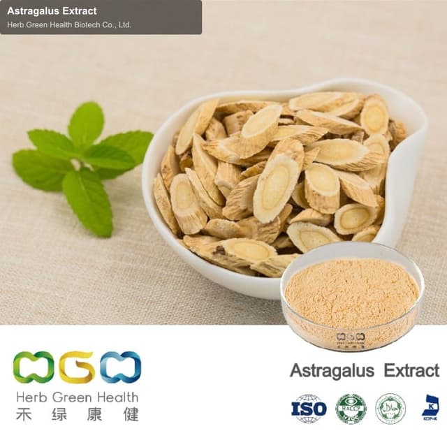 Astragalus Extract