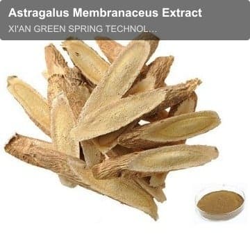 Astragalus Membranaceus Extract