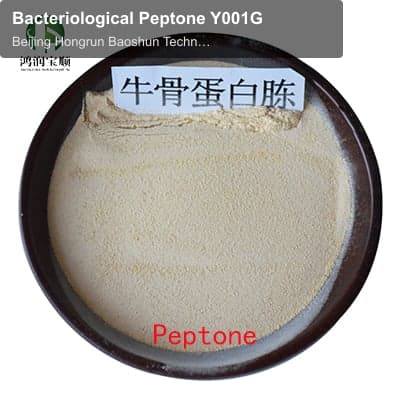 Bacteriological Peptone Y001G