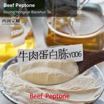 Beef Peptone