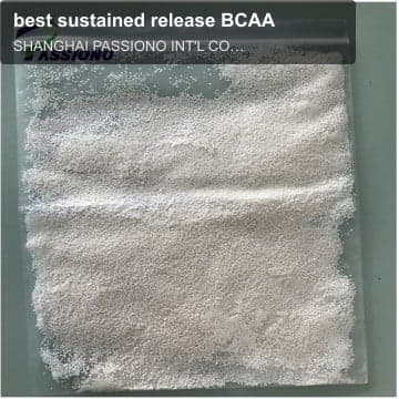 best sustained release BCAA