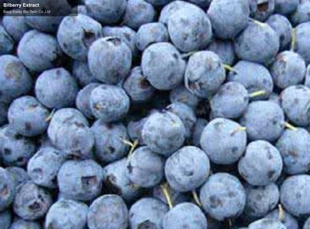 Bilberry Extract