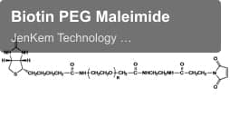 Biotin PEG Maleimide