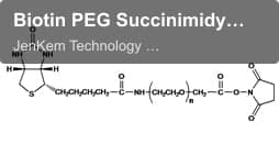 Biotin PEG Succinimidyl Carboxymethyl Ester