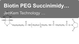 Biotin PEG Succinimidyl Glutaramide