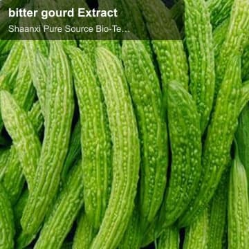 bitter gourd Extract