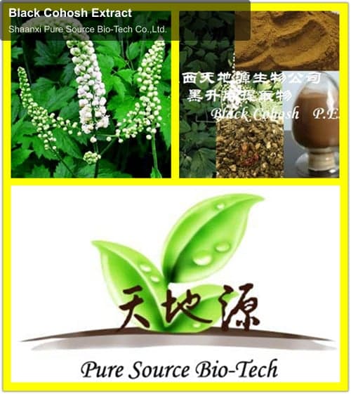 Black Cohosh Extract
