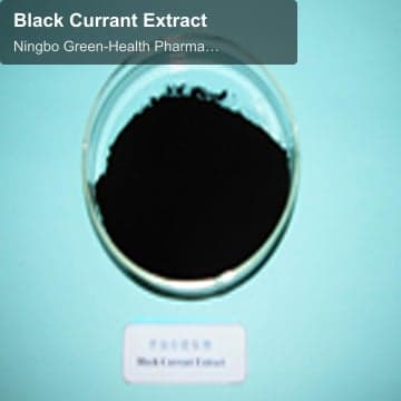 Black Currant Extract