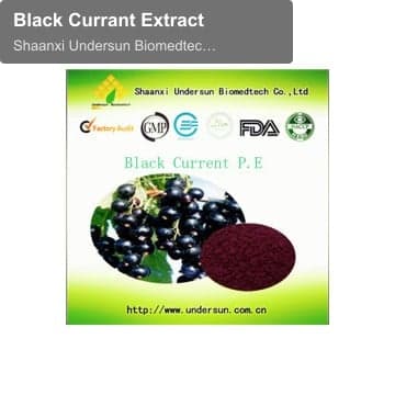Black Currant Extract