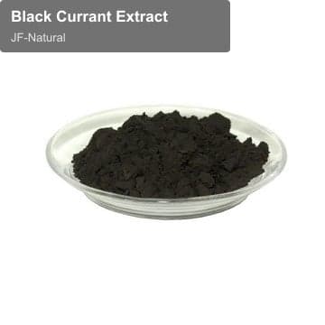 Black Currant Extract