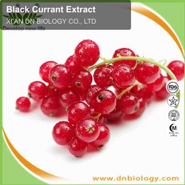 Black Currant Extract
