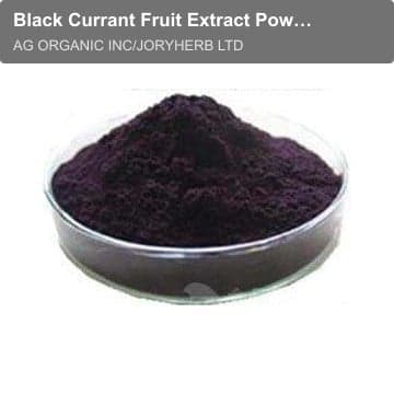 Black Currant Fruit Extract Powder