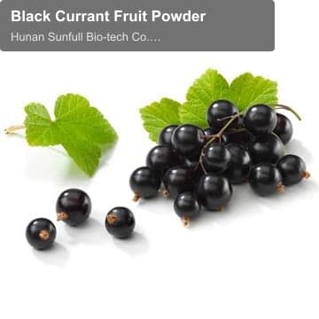 Black Currant Fruit Powder