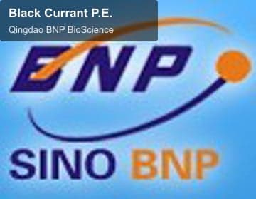 Black Currant P.E.