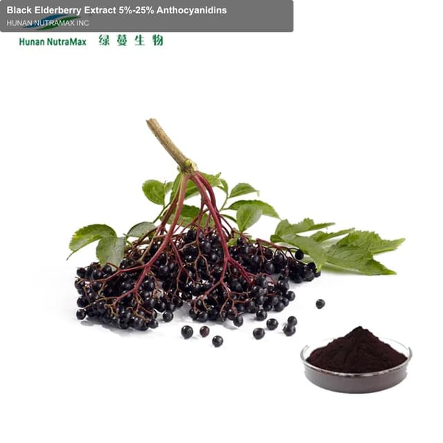 Black Elderberry Extract 5%-25% Anthocyanidins