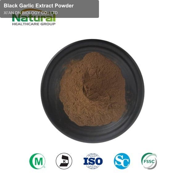 Black Garlic Extract Powder