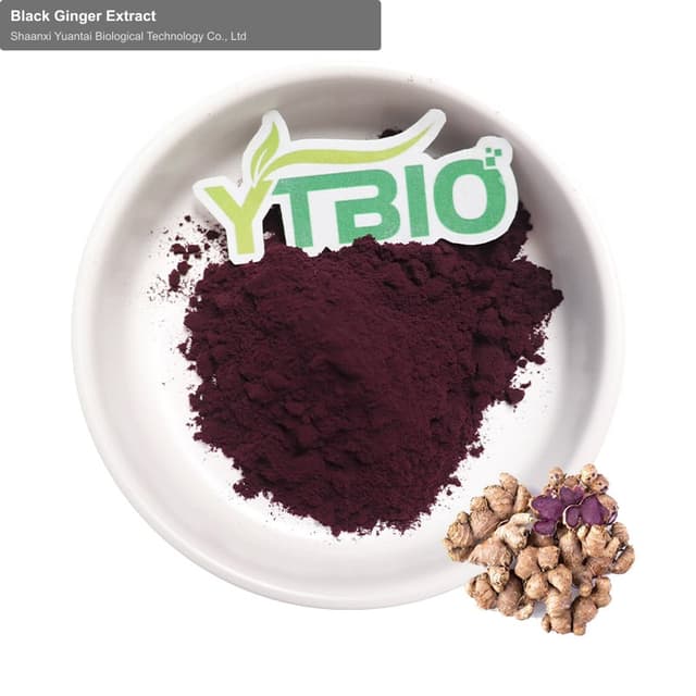 Black Ginger Extract