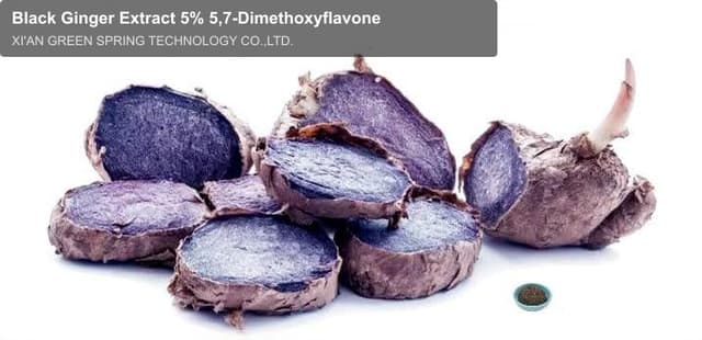 Black Ginger Extract 5% 5,7-Dimethoxyflavone