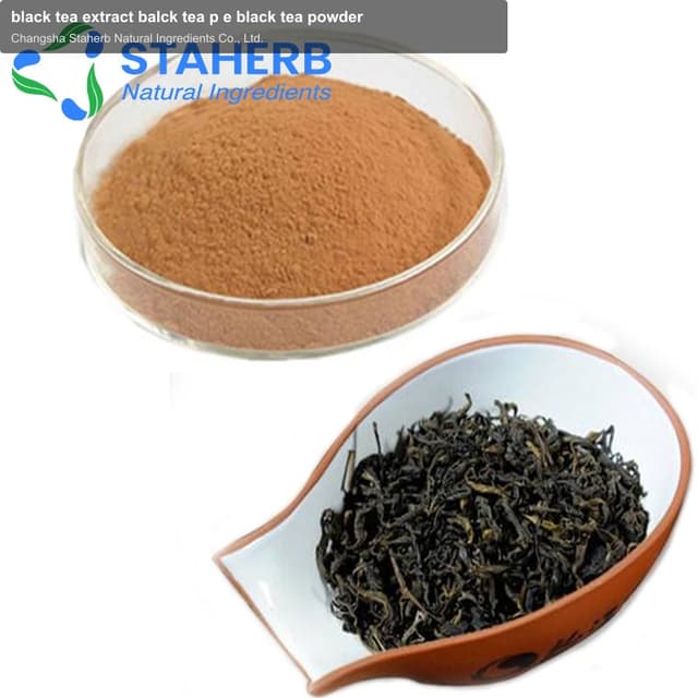 black tea extract balck tea p e black tea powder