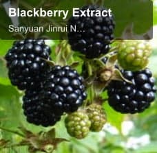 Blackberry Extract