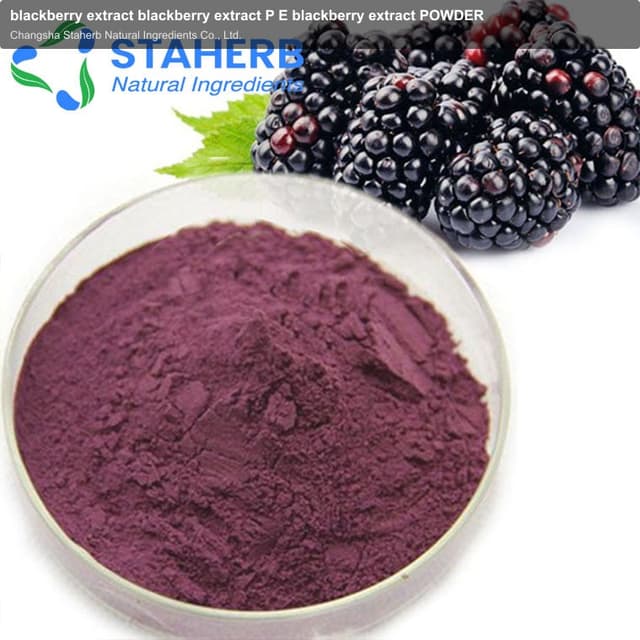 blackberry extract blackberry extract P E blackberry extract POWDER