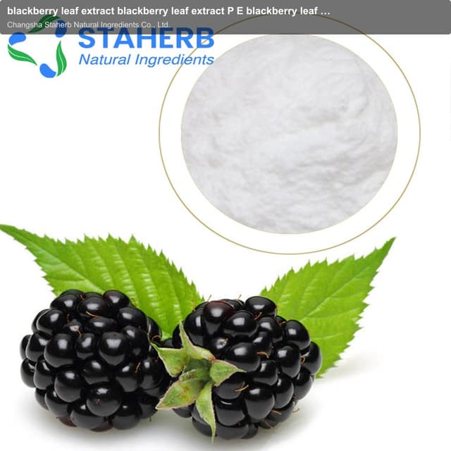 blackberry leaf extract blackberry leaf extract P E blackberry leaf extract POWDER