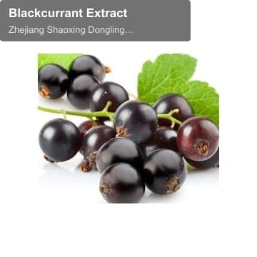 Blackcurrant Extract