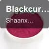 Blackcurrant Extract Powder