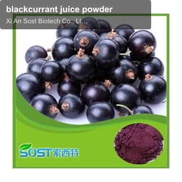blackcurrant juice powder
