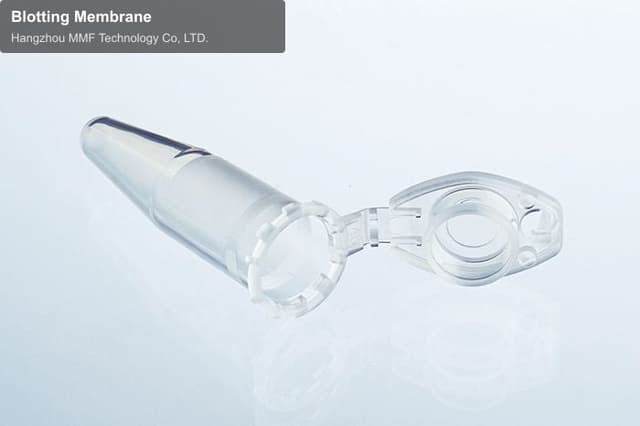 Blotting Membrane