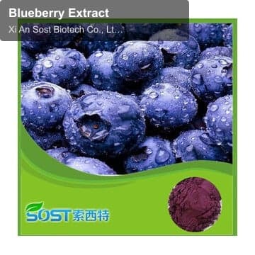 Blueberry Extract