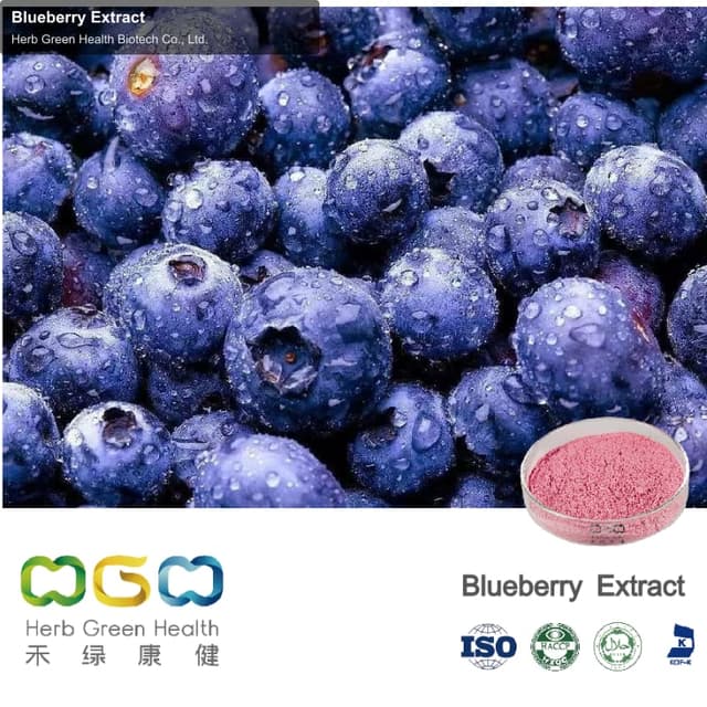 Blueberry Extract