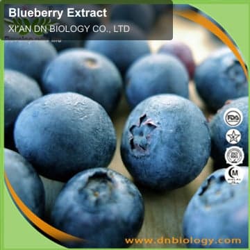 Blueberry Extract