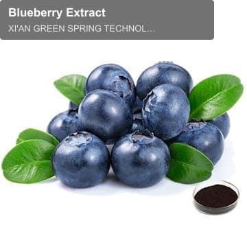 Blueberry Extract